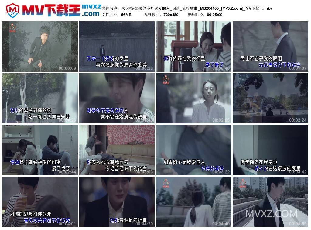 朱大福-如果你不是我爱的人_国语_流行歌曲_MB204100